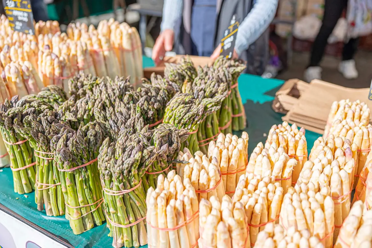 Fête de l’asperge - Bordeaux