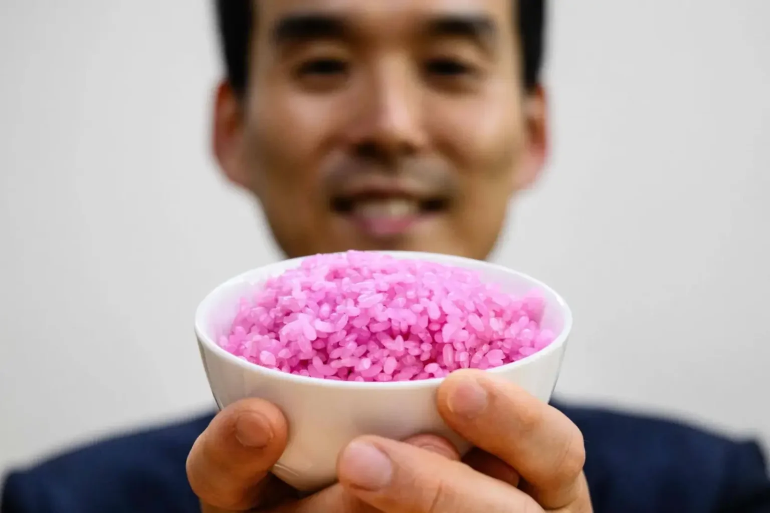 riz rose hybride qui remplace la viande