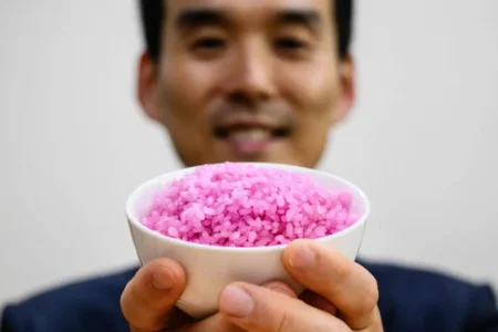 Ce riz rose au bœuf créé en laboratoire pourrait bouleverser notre alimentation riz rose hybride qui remplace la viande