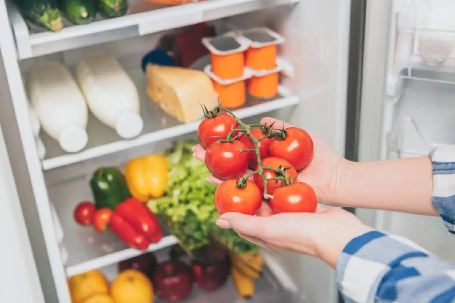 tomates frigo ou pas