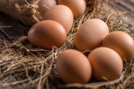 Consommation oeufs
