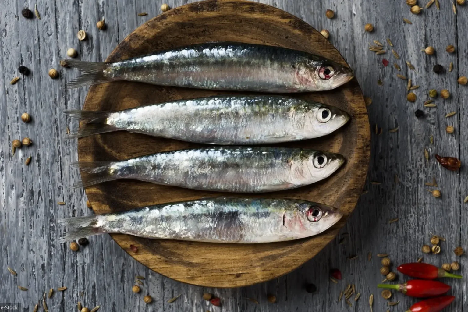 Pourquoi risque-t-on de manquer de sardine cet été ? Sardine