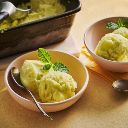 Sorbet aux pommes au Thermomix