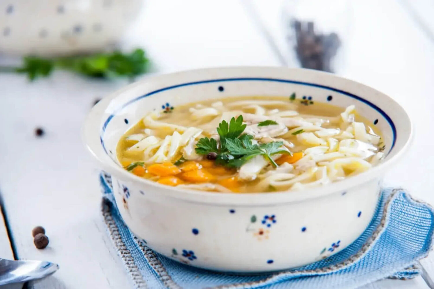 Soupe de nouilles au poulet maison