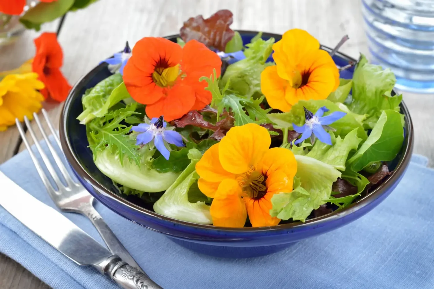 Fleurs comestibles : 5 idées faciles pour parfumer vos plats (et la recette ultra rafraîchissante du bissap à l’hibiscus) fleurs comestibles