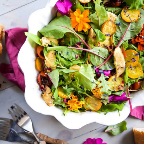 Salade colorée avec légumes grillés et lanières de poulet