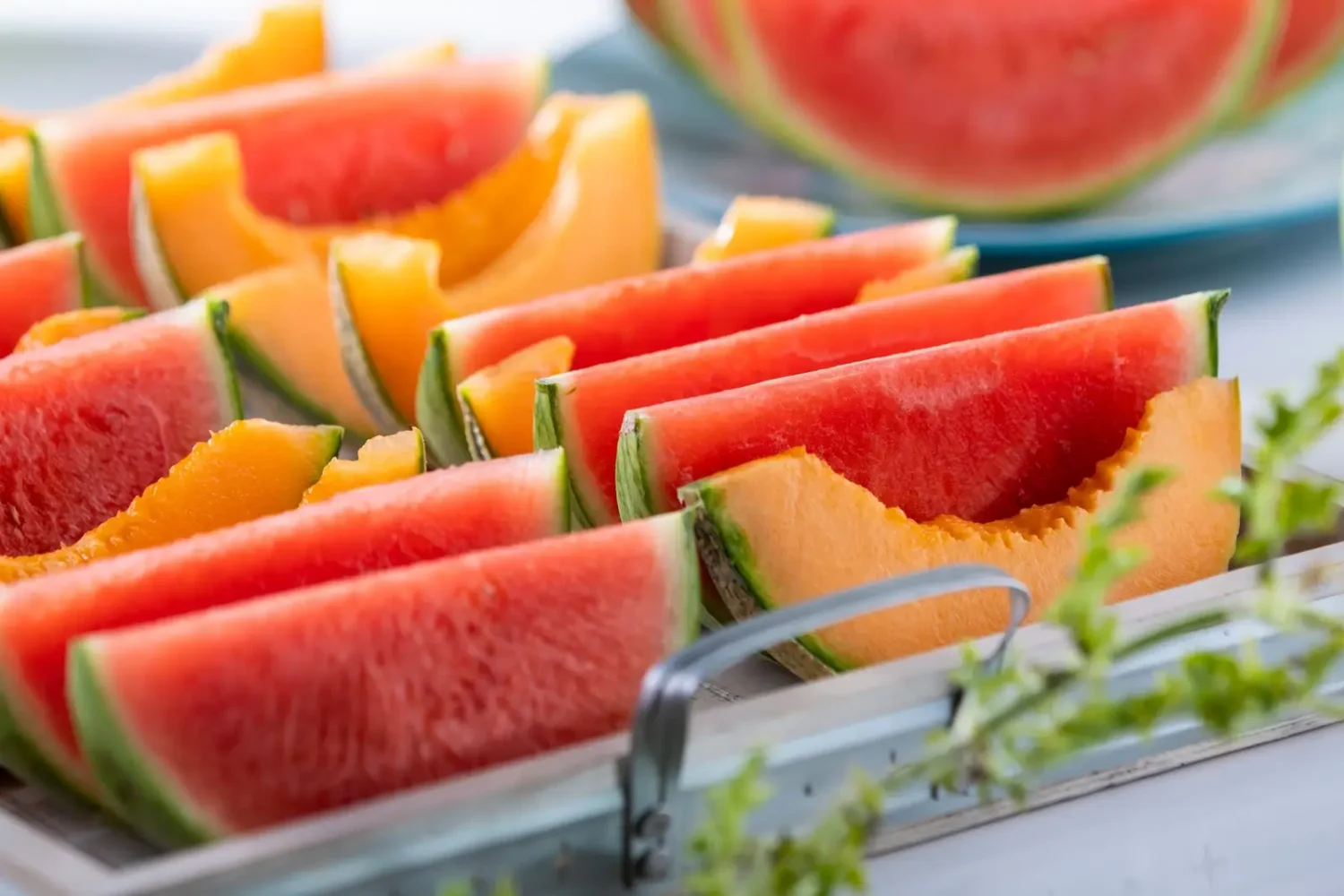 Tranches de pastèque et de melon