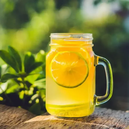 Kombucha maison